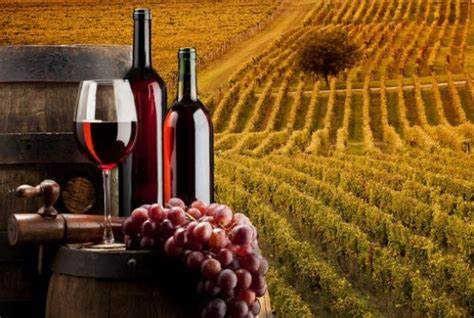 sostegno alle imprese vitivinicole