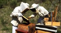 apicoltura regione umbria