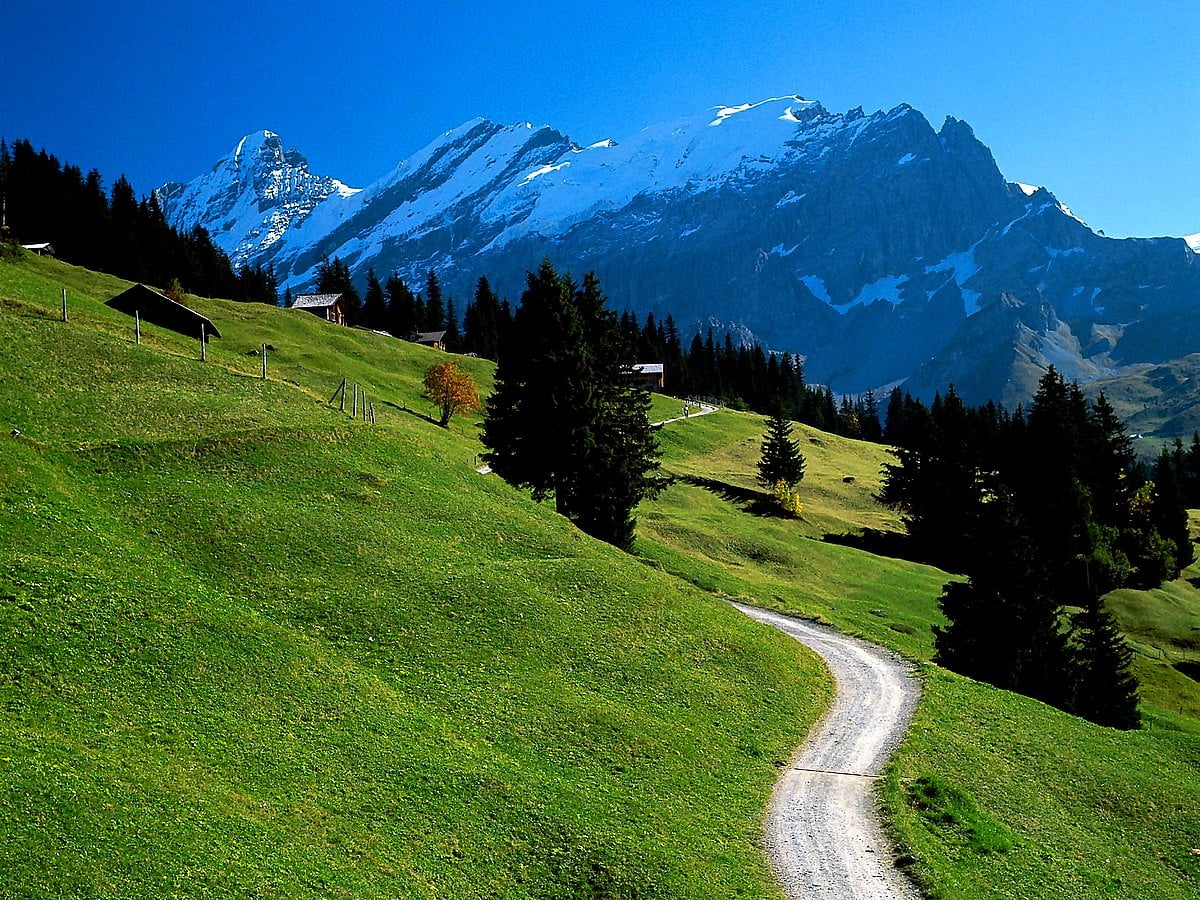 Montagne svizzere