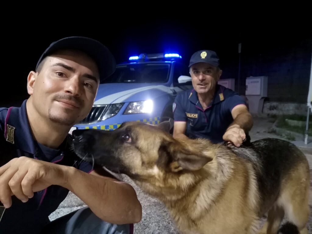 cane salvato dalla polizia