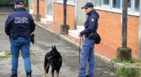 Arrestato ad Orvieto un minore nel corso di un controllo in un istituto scolastico