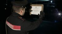 Sequestro preventivo eseguito dai carabinieri