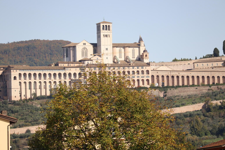 sacro convento san francesco